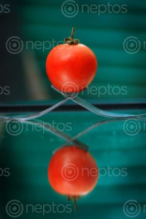 Find  the Image tomato,#food#vagitables,sms,photography  and other Royalty Free Stock Images of Nepal in the Neptos collection.