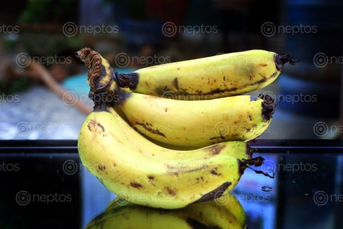 Find  the Image fruit,image,banana#,sms,photography  and other Royalty Free Stock Images of Nepal in the Neptos collection.