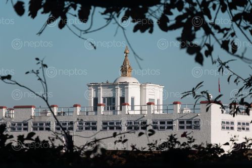 Find  the Image image,mayadevi,temple,lumbini,nepal  and other Royalty Free Stock Images of Nepal in the Neptos collection.