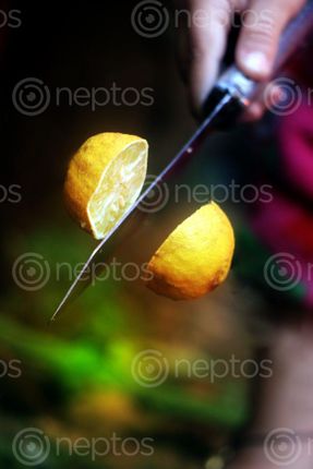 Find  the Image lemon,cut,#creative,#sms,photography  and other Royalty Free Stock Images of Nepal in the Neptos collection.