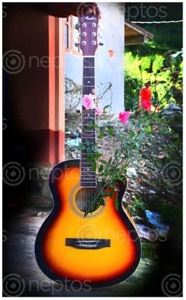 Find  the Image musical,instruments,-guiter,sms,photography  and other Royalty Free Stock Images of Nepal in the Neptos collection.