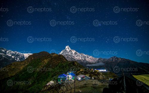 Find  the Image night,view,mount,fishtail,range,high,camp,mardi,trek,nepal  and other Royalty Free Stock Images of Nepal in the Neptos collection.