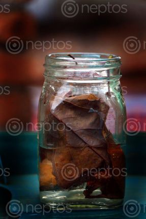 Find  the Image dry,leaf,bottle,sms,photography  and other Royalty Free Stock Images of Nepal in the Neptos collection.