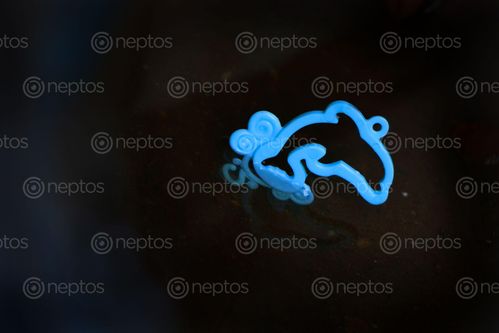 Find  the Image fish,toy,photography  and other Royalty Free Stock Images of Nepal in the Neptos collection.