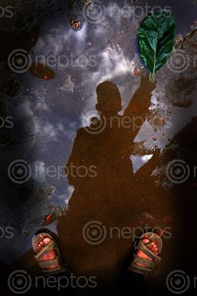 Find  the Image green,leaf,floor,pick,persons,hand,shadow,photography  and other Royalty Free Stock Images of Nepal in the Neptos collection.
