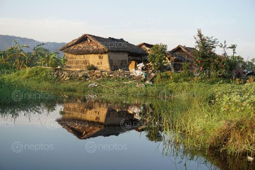 Find  the Image small,traditional,house,gobreni,chitwan  and other Royalty Free Stock Images of Nepal in the Neptos collection.