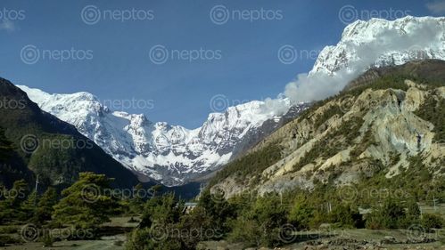 Find  the Image annapurna,range,humde,manang  and other Royalty Free Stock Images of Nepal in the Neptos collection.