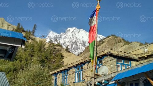 Find  the Image typical,house,manang,buddhist,prayer,flag  and other Royalty Free Stock Images of Nepal in the Neptos collection.
