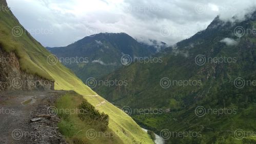 Find  the Image green,pasture,land,sorukot,rural,municipality,mugu  and other Royalty Free Stock Images of Nepal in the Neptos collection.