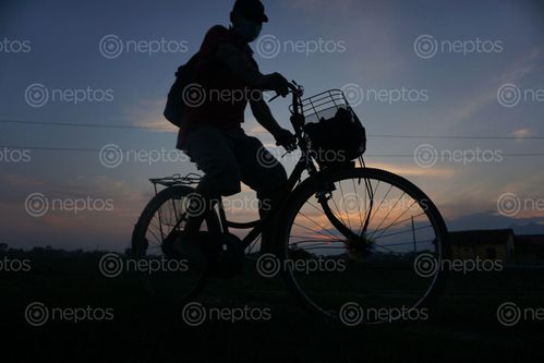 Find  the Image bicycle,rider,heading,home  and other Royalty Free Stock Images of Nepal in the Neptos collection.