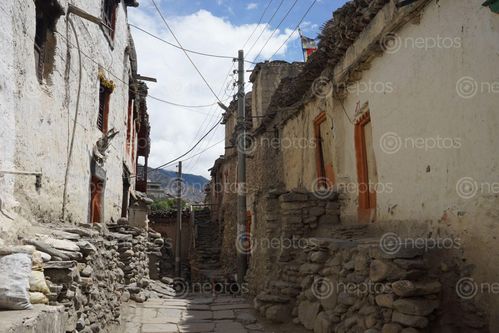 Find  the Image street,kagbeni,mustang,nepal  and other Royalty Free Stock Images of Nepal in the Neptos collection.