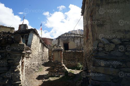Find  the Image street,purang,village,mustang,nepal  and other Royalty Free Stock Images of Nepal in the Neptos collection.