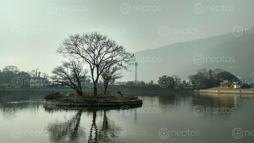 Find  the Image beautiful,taudaha,lake,kitripur  and other Royalty Free Stock Images of Nepal in the Neptos collection.