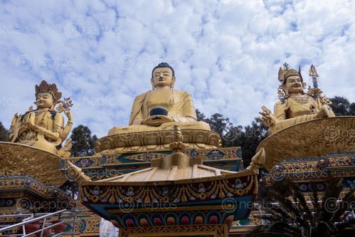 Find  the Image golden,buddha,statues,park,swayambhunath,area,kathmandu,nepal,world,heritage,site,declared,unesco  and other Royalty Free Stock Images of Nepal in the Neptos collection.