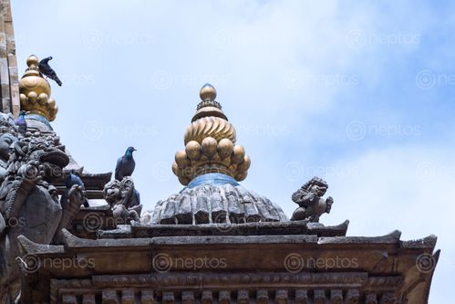 Find  the Image gajur,stone,carvings,krishna,mandirkrishna,temple,located,patan,durbar,square  and other Royalty Free Stock Images of Nepal in the Neptos collection.