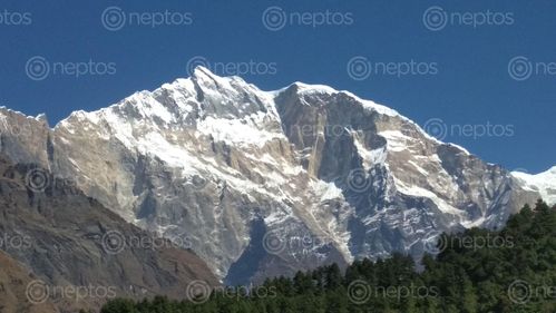 Find  the Image annapurna,himal,narchyang,village,myagdi  and other Royalty Free Stock Images of Nepal in the Neptos collection.