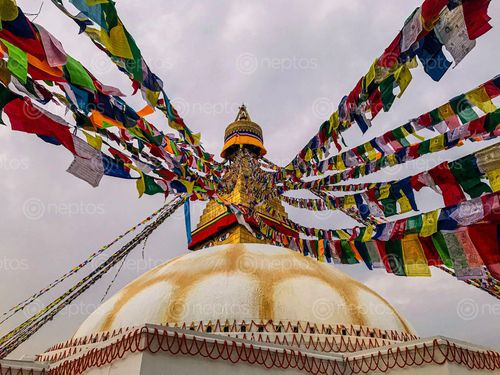 Find  the Image shot,baudha,stupa,evening  and other Royalty Free Stock Images of Nepal in the Neptos collection.