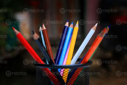 Find  the Image stock,image,colored,pencils,pencil,case,photography,sita,mayashrestha  and other Royalty Free Stock Images of Nepal in the Neptos collection.