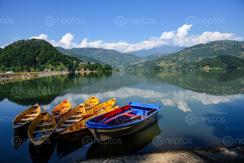 Find  the Image begans,lake,pokhara  and other Royalty Free Stock Images of Nepal in the Neptos collection.