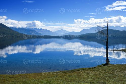 Find  the Image beget,fresh,water,lake,nepal  and other Royalty Free Stock Images of Nepal in the Neptos collection.