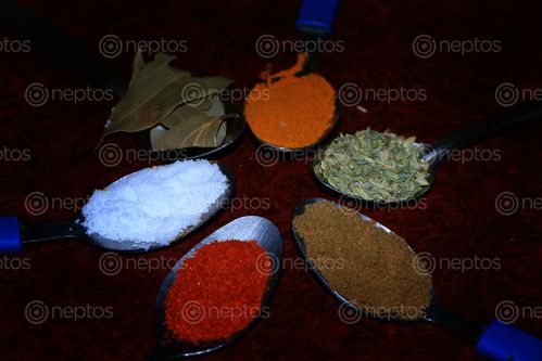 Find  the Image spoons,|,nepali,food,recipes,photo,photography,sita,maya,shrestha  and other Royalty Free Stock Images of Nepal in the Neptos collection.