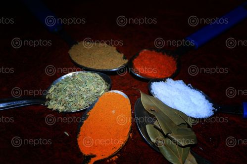 Find  the Image spoons,|,nepali,food,recipes,photo,photography,sita,maya,shrestha  and other Royalty Free Stock Images of Nepal in the Neptos collection.