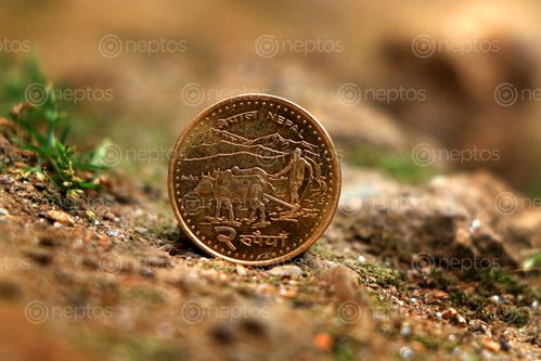 Find  the Image stock,image,nepal,coin,photography,sita,maya,shrestha  and other Royalty Free Stock Images of Nepal in the Neptos collection.