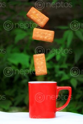 Find  the Image biscuit,mug,creative,photography#,stock,image,photography,sita,maya,shrestha  and other Royalty Free Stock Images of Nepal in the Neptos collection.