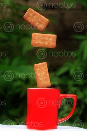 Find  the Image biscuit,mug,creative,photography#,stock,image,photography,sita,maya,shrestha  and other Royalty Free Stock Images of Nepal in the Neptos collection.