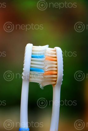 Find  the Image tooth,brush,photography,love,couple#,stock,image,nepal,#photography,sita,maya,shrestha  and other Royalty Free Stock Images of Nepal in the Neptos collection.