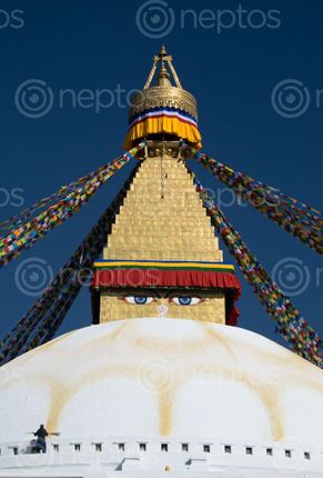 Find  the Image person,cleaning,boudhanath,temple  and other Royalty Free Stock Images of Nepal in the Neptos collection.