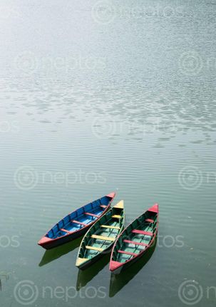 Find  the Image boats,rest,fewa,lake,pokhara  and other Royalty Free Stock Images of Nepal in the Neptos collection.