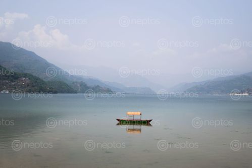 Find  the Image empty,boat,laying,phewa,lake,pokhara  and other Royalty Free Stock Images of Nepal in the Neptos collection.