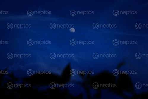 Find  the Image cloud,&moon,photography#,#eveningshoot,photographyt#,stockimage#nepalphotography#,sita,maya,shrestha  and other Royalty Free Stock Images of Nepal in the Neptos collection.