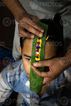 Find  the Image person,puts,colorful,tikas,tihar,important,hindu,festival,nepal  and other Royalty Free Stock Images of Nepal in the Neptos collection.