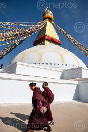 Find  the Image monks,walking,largest,stupas,world,boudhanath,stupa,boudha,kathmandu  and other Royalty Free Stock Images of Nepal in the Neptos collection.
