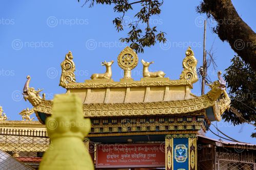 Find  the Image wochen,thukje,choeling,monastery,located,swayambhunath,kathmandu,nepal  and other Royalty Free Stock Images of Nepal in the Neptos collection.