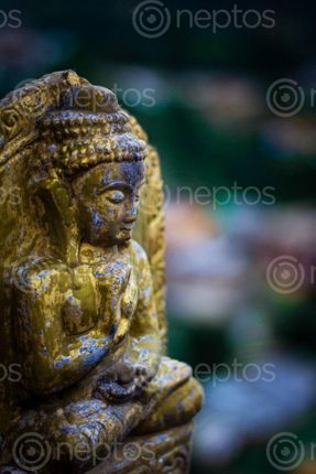 Find  the Image mind  and other Royalty Free Stock Images of Nepal in the Neptos collection.