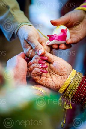Find  the Image close,soul,family  and other Royalty Free Stock Images of Nepal in the Neptos collection.