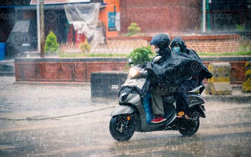 Find  the Image riding,rainy,monsoon,season,patan,lalitpur,nepal  and other Royalty Free Stock Images of Nepal in the Neptos collection.