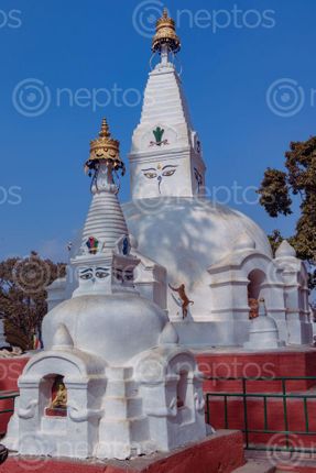 Find  the Image small,stupas,located,base,swayambhunath,kathmandu,nepal  and other Royalty Free Stock Images of Nepal in the Neptos collection.