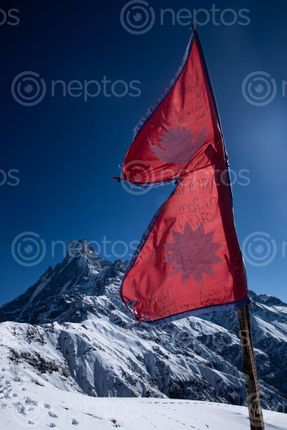 Find  the Image flag,nepal,pictured,machhapuchare,himal,mardi,upper,view,point  and other Royalty Free Stock Images of Nepal in the Neptos collection.