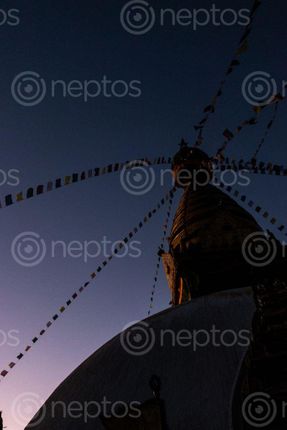 Find  the Image swayambhu,nath,pictured,evening  and other Royalty Free Stock Images of Nepal in the Neptos collection.