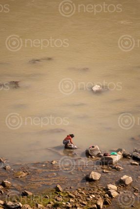 Find  the Image woman,washes,clothes,banks,trishuli,river  and other Royalty Free Stock Images of Nepal in the Neptos collection.