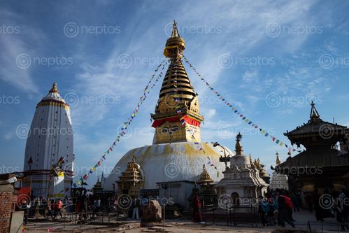 Find  the Image swayambhu,nath,stupa,front,blue,sky,clear,day  and other Royalty Free Stock Images of Nepal in the Neptos collection.