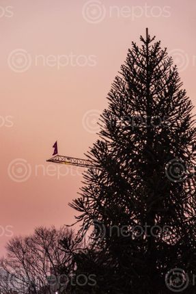 Find  the Image nepali,flag,atop,crane,tall,tree,front,pink,sky,dusk  and other Royalty Free Stock Images of Nepal in the Neptos collection.