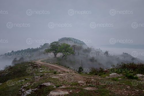 Find  the Image fog,covers,top,hill,tanahun,nepal  and other Royalty Free Stock Images of Nepal in the Neptos collection.