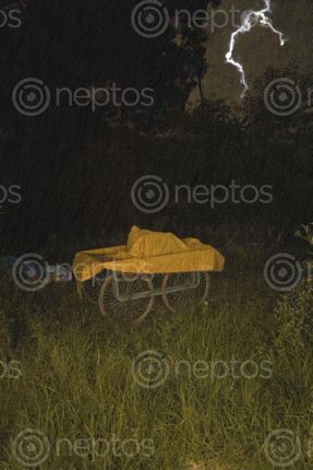 Find  the Image abandoned,cart,lies,middle,grassy,area,thunderstorm,night,composite,image  and other Royalty Free Stock Images of Nepal in the Neptos collection.