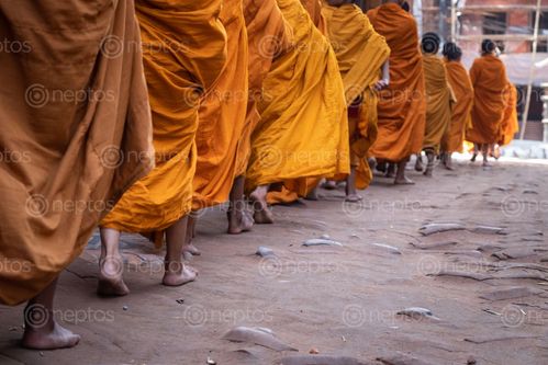 Find  the Image line,young,monks,walk,barefeet,path  and other Royalty Free Stock Images of Nepal in the Neptos collection.