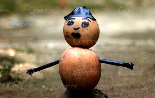 Find  the Image potato,female,stock,image,nepal_photography,#creative,photography,sita,maya,shrestha  and other Royalty Free Stock Images of Nepal in the Neptos collection.